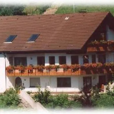 Lovely In Baden-wurttemberg Germany Near Ski Area *